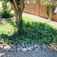 Weed & Lawn Care in Apache Junction